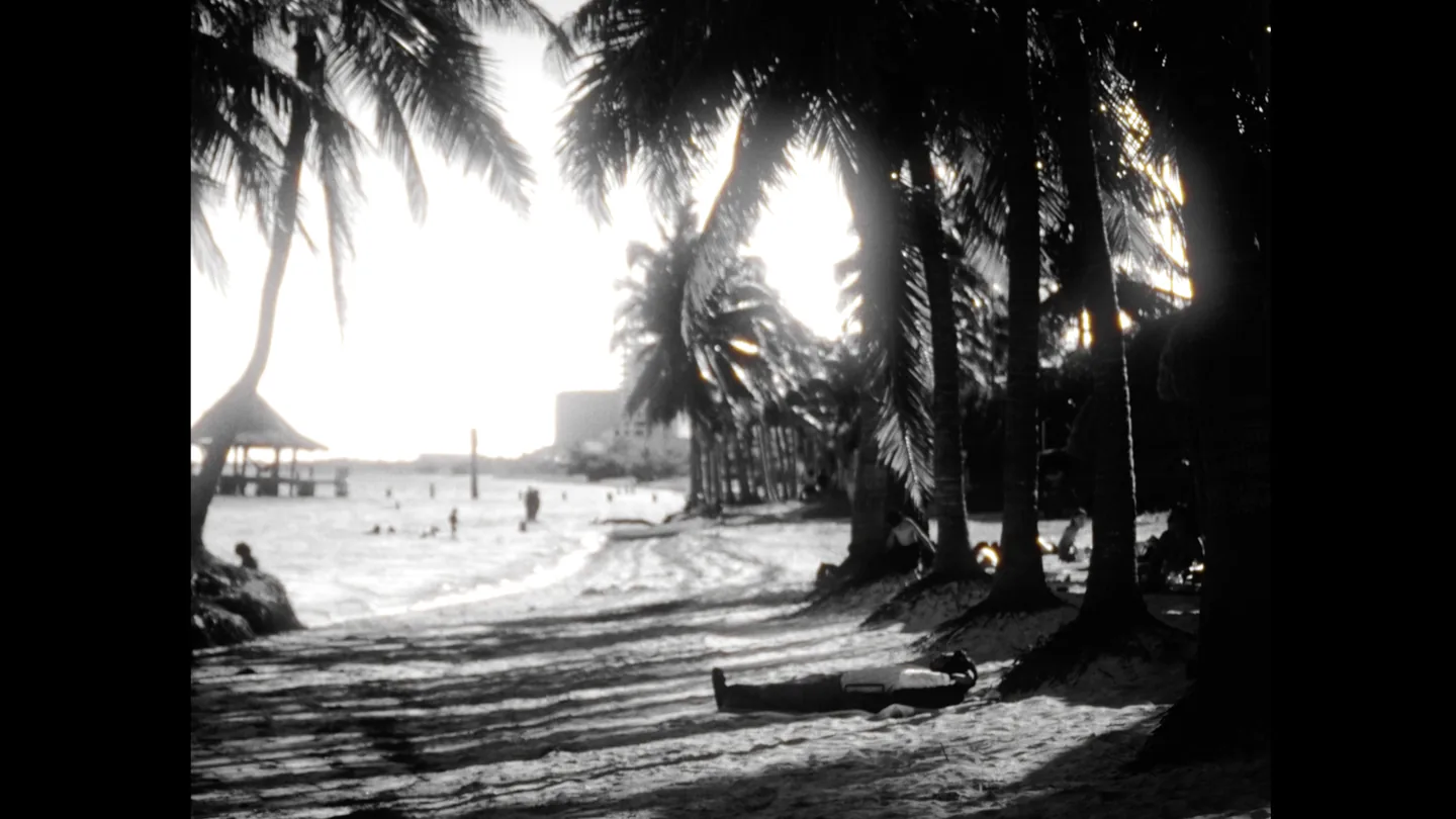 Playa en blanco y negro entre palmeras, con una figura tendida en la arena.