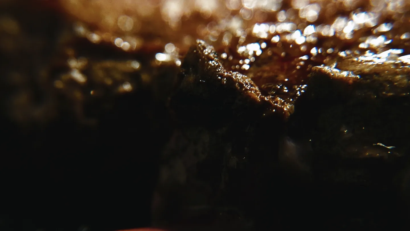 Primer plano de carne asada con brillo dorado bajo la luz.